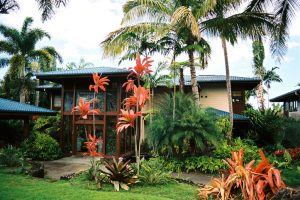 Maui Hawaii tropical mansion